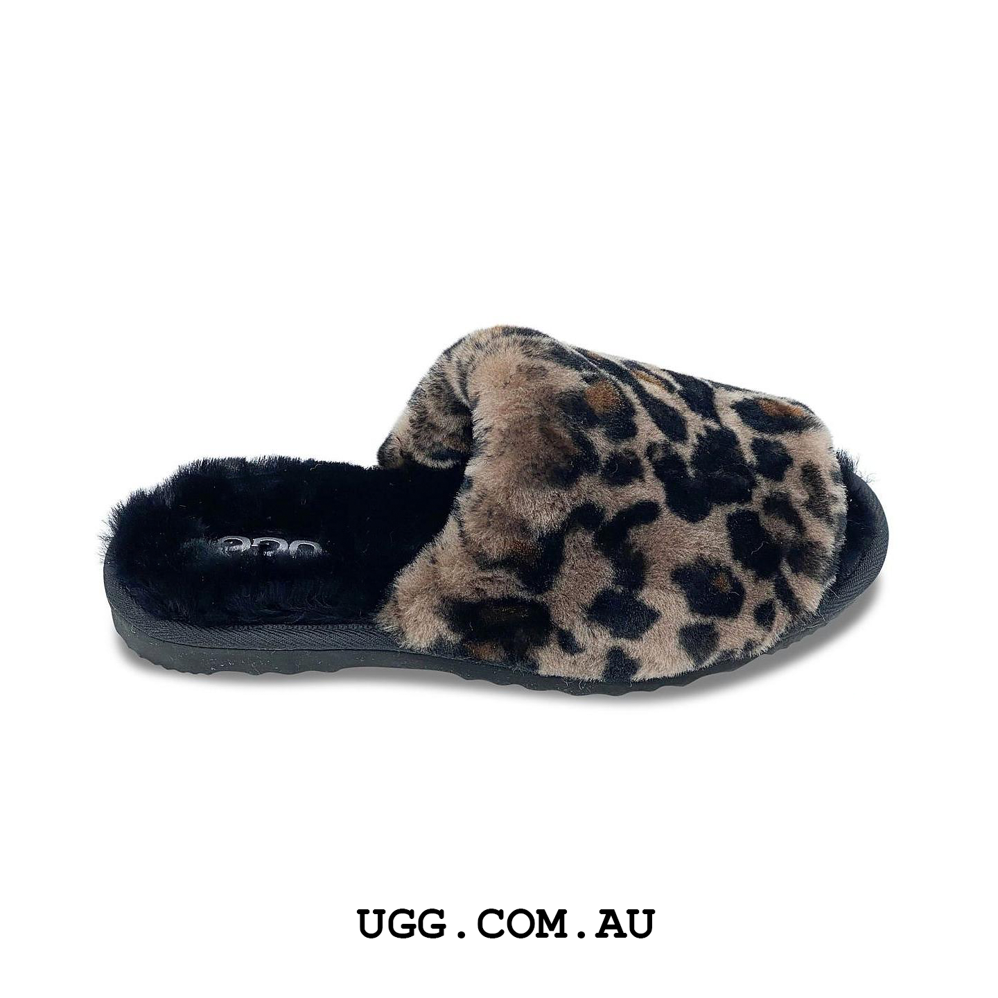Slides